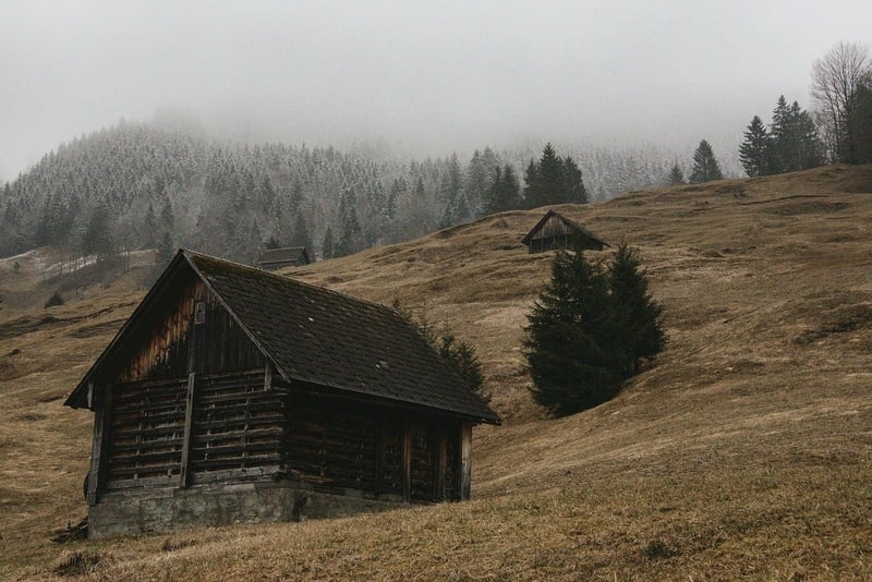 Treetop Cabin in the Forest